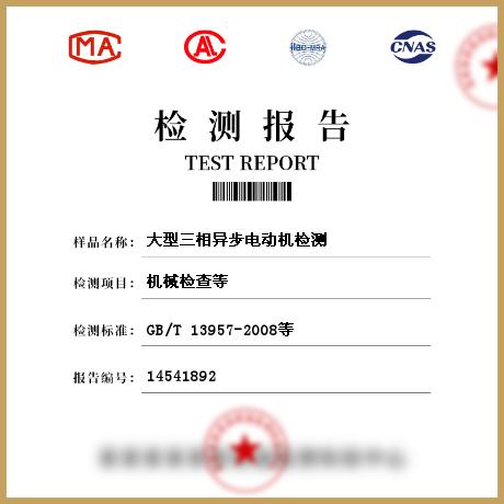 大型三相異步電動(dòng)機(jī)檢測